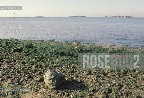 Caption: Nome:..LA LAGUNA DALL ISOLA DEL LAZZARETTO VECCHIO....Localizzazione:..VENEZIA / ISOLA DEL LAZZARETTO VECCHIO / LAGUNA SUD..VENICE / THE ISLE OF LAZZARETTO VECCHIO / THE SOUTH LAGOON..Soggetto:..LA LAGUNA DALLISOLA DEL LAZZARETTO VECCHIO ..THE LAGOON FROM THE ISLE OF LAZZARETTO VECCHIO..Cronologia:......Autore:.. ....Stile:......Editori Stampatori:......Committenza:......Materia e Tecnica:......Collocazione:......Note:..NEL 1423 SCOPPIO LA PESTE IN CITTA E LISOLA VENNE TRASFORMATA IN LAZZARETTO ..WITH THE 1423 PLAGUE THE ISLAND BECAME LAZZARETTO  (QUARANTINE STATION)..Riproduzione Fotografica:..Graziano Arici/Rosebud2 ...Copyright:..Graziano Arici / rosebud2/....Data:..1993....Costo:..A....Key:..ISOLE ABBANDONATE..UNINHABITED ISLANDS