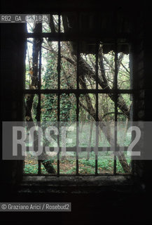 Caption: Nome:..ISOLA DEL LAZZARETTO VECCHIO: ROVINE....Localizzazione:..VENEZIA / ISOLA DEL LAZZARETTO VECCHIO / LAGUNA SUD..VENICE / THE ISLE OF LAZZARETTO VECCHIO / THE SOUTH LAGOON..Soggetto:..ISOLA DEL LAZZARETTO VECCHIO / ROVINE FINESTRA..THE ISLE OF LAZZARETTO VECCHIO / REMAINS    ..Cronologia:......Autore:.. ....Stile:......Editori Stampatori:......Committenza:......Materia e Tecnica:......Collocazione:......Note:..NEL 1423 SCOPPIO LA PESTE IN CITTA E LISOLA VENNE TRASFORMATA IN LAZZARETTO ..WITH THE 1423 PLAGUE THE ISLAND BECAME LAZZARETTO  (QUARANTINE STATION)..Riproduzione Fotografica:..Graziano Arici/Rosebud2 ...Copyright:..Graziano Arici / rosebud2/....Data:..1993....Costo:..A....Key:..ISOLE ABBANDONATE..UNINHABITED ISLANDS