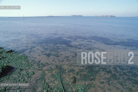 Caption: Nome:..LA LAGUNA DALL ISOLA DEL LAZZARETTO VECCHIO....Localizzazione:..VENEZIA / ISOLA DEL LAZZARETTO VECCHIO / LAGUNA SUD..VENICE / THE ISLE OF LAZZARETTO VECCHIO / THE SOUTH LAGOON..Soggetto:..LA LAGUNA DALLISOLA DEL LAZZARETTO VECCHIO ..THE LAGOON FROM THE ISLE OF LAZZARETTO VECCHIO..Cronologia:......Autore:.. ....Stile:......Editori Stampatori:......Committenza:......Materia e Tecnica:......Collocazione:......Note:..NEL 1423 SCOPPIO LA PESTE IN CITTA E LISOLA VENNE TRASFORMATA IN LAZZARETTO ..WITH THE 1423 PLAGUE THE ISLAND BECAME LAZZARETTO  (QUARANTINE STATION)..Riproduzione Fotografica:..Graziano Arici/Rosebud2 ...Copyright:..Graziano Arici / rosebud2/....Data:..1993....Costo:..A....Key:..ISOLE ABBANDONATE..UNINHABITED ISLANDS