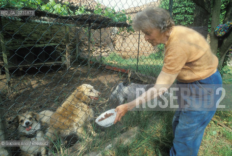 Caption: Nome:..ISOLA DEL LAZZARETTO VECCHIO: RIFUGIO PER CANI....Localizzazione:..VENEZIA / ISOLA DEL LAZZARETTO VECCHIO / LAGUNA SUD..VENICE / THE ISLE OF LAZZARETTO VECCHIO / THE SOUTH LAGOON..Soggetto:..ISOLA DEL LAZZARETTO VECCHIO / RIFUGIO PER CANI..THE ISLE OF LAZZARETTO VECCHIO / REFUGE FOR DOGS ..Cronologia:......Autore:.. ....Stile:......Editori Stampatori:......Committenza:......Materia e Tecnica:......Collocazione:......Note:..NEL 1423 SCOPPIO LA PESTE IN CITTA E LISOLA VENNE TRASFORMATA IN LAZZARETTO / DAL 1968 E DIVENTATA RIFUGIO PER CANI ABBANDONATI ..WITH THE 1423 PLAGUE THE ISLAND BECAME LAZZARETTO  (QUARANTINE STATION) / FROM 1968  IT BECAME A REFUGE FOR ABANDONED DOGS..Riproduzione Fotografica:..Graziano Arici/Rosebud2 ...Copyright:..Graziano Arici / rosebud2/....Data:..1993....Costo:..A....Key:..ISOLE ABBANDONATE..UNINHABITED ISLANDS