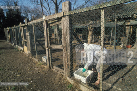 Caption: Nome:..ISOLA DEL LAZZARETTO VECCHIO: RIFUGIO PER CANI....Localizzazione:..VENEZIA / ISOLA DEL LAZZARETTO VECCHIO / LAGUNA SUD..VENICE / THE ISLE OF LAZZARETTO VECCHIO / THE SOUTH LAGOON..Soggetto:..ISOLA DEL LAZZARETTO VECCHIO / RIFUGIO PER CANI..THE ISLE OF LAZZARETTO VECCHIO / REFUGE FOR DOGS ..Cronologia:......Autore:.. ....Stile:......Editori Stampatori:......Committenza:......Materia e Tecnica:......Collocazione:......Note:..NEL 1423 SCOPPIO LA PESTE IN CITTA E LISOLA VENNE TRASFORMATA IN LAZZARETTO / DAL 1968 E DIVENTATA RIFUGIO PER CANI ABBANDONATI ..WITH THE 1423 PLAGUE THE ISLAND BECAME LAZZARETTO  (QUARANTINE STATION) / FROM 1968  IT BECAME A REFUGE FOR ABANDONED DOGS..Riproduzione Fotografica:..Graziano Arici/Rosebud2 ...Copyright:..Graziano Arici / rosebud2/....Data:..1993....Costo:..A....Key:..ISOLE ABBANDONATE..UNINHABITED ISLANDS