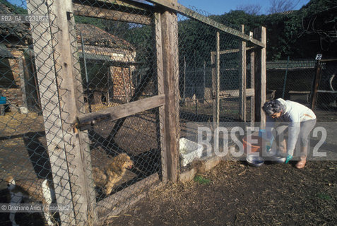 Caption: Nome:..ISOLA DEL LAZZARETTO VECCHIO: RIFUGIO PER CANI....Localizzazione:..VENEZIA / ISOLA DEL LAZZARETTO VECCHIO / LAGUNA SUD..VENICE / THE ISLE OF LAZZARETTO VECCHIO / THE SOUTH LAGOON..Soggetto:..ISOLA DEL LAZZARETTO VECCHIO / RIFUGIO PER CANI..THE ISLE OF LAZZARETTO VECCHIO / REFUGE FOR DOGS ..Cronologia:......Autore:.. ....Stile:......Editori Stampatori:......Committenza:......Materia e Tecnica:......Collocazione:......Note:..NEL 1423 SCOPPIO LA PESTE IN CITTA E LISOLA VENNE TRASFORMATA IN LAZZARETTO / DAL 1968 E DIVENTATA RIFUGIO PER CANI ABBANDONATI ..WITH THE 1423 PLAGUE THE ISLAND BECAME LAZZARETTO  (QUARANTINE STATION) / FROM 1968  IT BECAME A REFUGE FOR ABANDONED DOGS..Riproduzione Fotografica:..Graziano Arici/Rosebud2 ...Copyright:..Graziano Arici / rosebud2/....Data:..1993....Costo:..A....Key:..ISOLE ABBANDONATE..UNINHABITED ISLANDS