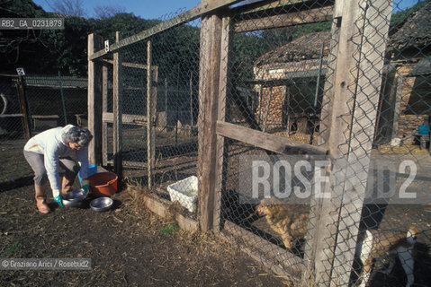 Caption: Nome:..ISOLA DEL LAZZARETTO VECCHIO: RIFUGIO PER CANI....Localizzazione:..VENEZIA / ISOLA DEL LAZZARETTO VECCHIO / LAGUNA SUD..VENICE / THE ISLE OF LAZZARETTO VECCHIO / THE SOUTH LAGOON..Soggetto:..ISOLA DEL LAZZARETTO VECCHIO / RIFUGIO PER CANI..THE ISLE OF LAZZARETTO VECCHIO / REFUGE FOR DOGS ..Cronologia:......Autore:.. ....Stile:......Editori Stampatori:......Committenza:......Materia e Tecnica:......Collocazione:......Note:..NEL 1423 SCOPPIO LA PESTE IN CITTA E LISOLA VENNE TRASFORMATA IN LAZZARETTO / DAL 1968 E DIVENTATA RIFUGIO PER CANI ABBANDONATI ..WITH THE 1423 PLAGUE THE ISLAND BECAME LAZZARETTO  (QUARANTINE STATION) / FROM 1968  IT BECAME A REFUGE FOR ABANDONED DOGS..Riproduzione Fotografica:..Graziano Arici/Rosebud2 ...Copyright:..Graziano Arici / rosebud2/....Data:..1993....Costo:..A....Key:..ISOLE ABBANDONATE..UNINHABITED ISLANDS