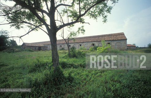 Caption: Nome:..ISOLA DEL LAZZARETTO NUOVO....Localizzazione:..VENEZIA / ISOLA DEL LAZZARETTO NUOVO / LAGUNA NORD..VENICE / THE ISLE OF LAZZARETTO NUOVO / THE NORTH LAGOON..Soggetto:..ISOLA DEL LAZZARETTO NUOVO / EDIFICIO..THE ISLE OF LAZZARETTO NUOVO / BUILDING ..Cronologia:......Autore:.. ....Stile:......Editori Stampatori:......Committenza:......Materia e Tecnica:......Collocazione:......Note:..NEL XV SEC. DIVENTA LAZZARETTO PER LESPURGO DELLE MERCI E SUCCESSIVAMENTE DELLE PERSONE SOSPETTE DI CONTAGIO. DOPO LA PESTILENZA DEL XVI SEC. VIENE ABBANDONATA E NEL 1800 DIVENTA ZONA MILITARE ..THE ISLAND BECAME A QUARANTINE STATION IN XVth CENTURY, FIRST FOR GOODS AND LATER FOR INDIVIDUALS SUSPECTED OF BEING INFECTED. AFTER THE PLAGUES OF THE XVIth CENTURY, THE ISLAND WAS ABANDONED AND IT BECAME A MILITARY POST IN 1800 ..Riproduzione Fotografica:..Graziano Arici/Rosebud2 ...Copyright:..Graziano Arici / rosebud2/....Data:..1992....Costo:..A....Key:..ISOLE ABBANDONATE..UNINHABITED ISLANDS