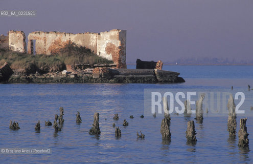 Caption: Caption: Nome:..ISOLA DI MADONNA DEL MONTE: RESTI DI UN EDIFICIO....Localizzazione:..VENEZIA / ISOLA DI MADONNA DEL MONTE / LAGUNA NORD..VENICE / THE ISLE OF MADONNA DEL MONTE  / THE NORTH LAGOON..Soggetto:..ISOLA DI MADONNA DEL MONTE / RESTI DI UN EDIFICIO PALI..THE ISLE OF MADONNA DEL MONTE  / REMAINS OF A BUILDING    ..Cronologia:......Autore:.. ....Stile:......Editori Stampatori:......Committenza:......Materia e Tecnica:......Collocazione:......Note:..NEL1303 FU COSTRUITO UN CONVENTO / LISOLA VENNE TRASFORMATA IN POLVERIERA ALLINIZIO DEL XX° SECOLO..IN 1303 A CONVENT WAS BUILT  / THE ISLAND WAS CONVERTED INTO A POWDER MAGAZINE AT THE BEGINNING OF THE XXth CENTURY..Riproduzione Fotografica:..Graziano Arici/Rosebud2 ...Copyright:..Graziano Arici / rosebud2/....Data:..1993....Costo:..A....Key:..ISOLE ABBANDONATE..UNINHABITED ISLANDS