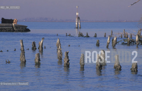 Caption: Caption: Nome:..ISOLA DI MADONNA DEL MONTE: RESTI DI UN EDIFICIO....Localizzazione:..VENEZIA / ISOLA DI MADONNA DEL MONTE / LAGUNA NORD..VENICE / THE ISLE OF MADONNA DEL MONTE  / THE NORTH LAGOON..Soggetto:..ISOLA DI MADONNA DEL MONTE / RESTI DI UN EDIFICIO PALI..THE ISLE OF MADONNA DEL MONTE  / REMAINS OF A BUILDING    ..Cronologia:......Autore:.. ....Stile:......Editori Stampatori:......Committenza:......Materia e Tecnica:......Collocazione:......Note:..NEL1303 FU COSTRUITO UN CONVENTO / LISOLA VENNE TRASFORMATA IN POLVERIERA ALLINIZIO DEL XX° SECOLO..IN 1303 A CONVENT WAS BUILT  / THE ISLAND WAS CONVERTED INTO A POWDER MAGAZINE AT THE BEGINNING OF THE XXth CENTURY..Riproduzione Fotografica:..Graziano Arici/Rosebud2 ...Copyright:..Graziano Arici / rosebud2/....Data:..1993....Costo:..A....Key:..ISOLE ABBANDONATE..UNINHABITED ISLANDS