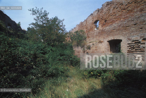 Caption: Nome:..ISOLA DI MADONNA DEL MONTE: RESTI DI UN EDIFICIO....Localizzazione:..VENEZIA / ISOLA DI MADONNA DEL MONTE / LAGUNA NORD..VENICE / THE ISLE OF MADONNA DEL MONTE  / THE NORTH LAGOON..Soggetto:..ISOLA DI MADONNA DEL MONTE / RESTI DI UN EDIFICIO ..THE ISLE OF MADONNA DEL MONTE  / REMAINS OF A BUILDING    ..Cronologia:......Autore:.. ....Stile:......Editori Stampatori:......Committenza:......Materia e Tecnica:......Collocazione:......Note:..NEL1303 FU COSTRUITO UN CONVENTO / LISOLA VENNE TRASFORMATA IN POLVERIERA ALLINIZIO DEL XX° SECOLO..IN 1303 A CONVENT WAS BUILT  / THE ISLAND WAS CONVERTED INTO A POWDER MAGAZINE AT THE BEGINNING OF THE XXth CENTURY..Riproduzione Fotografica:..Graziano Arici/Rosebud2 ...Copyright:..Graziano Arici / rosebud2/....Data:..1993....Costo:..A....Key:..ISOLE ABBANDONATE..UNINHABITED ISLANDS