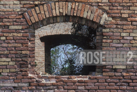Caption: Nome:..ISOLA DI MADONNA DEL MONTE: RESTI DI UN EDIFICIO....Localizzazione:..VENEZIA / ISOLA DI MADONNA DEL MONTE / LAGUNA NORD..VENICE / THE ISLE OF MADONNA DEL MONTE  / THE NORTH LAGOON..Soggetto:..ISOLA DI MADONNA DEL MONTE / RESTI DI UN EDIFICIO FINESTRA..THE ISLE OF MADONNA DEL MONTE  / REMAINS OF A BUILDING    ..Cronologia:......Autore:.. ....Stile:......Editori Stampatori:......Committenza:......Materia e Tecnica:......Collocazione:......Note:..NEL1303 FU COSTRUITO UN CONVENTO / LISOLA VENNE TRASFORMATA IN POLVERIERA ALLINIZIO DEL XX° SECOLO..IN 1303 A CONVENT WAS BUILT  / THE ISLAND WAS CONVERTED INTO A POWDER MAGAZINE AT THE BEGINNING OF THE XXth CENTURY..Riproduzione Fotografica:..Graziano Arici/Rosebud2 ...Copyright:..Graziano Arici / rosebud2/....Data:..1993....Costo:..A....Key:..ISOLE ABBANDONATE..UNINHABITED ISLANDS