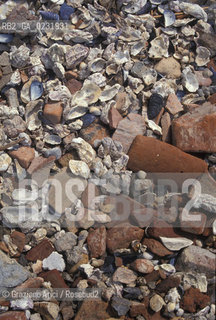 Caption: Nome:..ISOLA DI MADONNA DEL MONTE: RESTI DI UN EDIFICIO....Localizzazione:..VENEZIA / ISOLA DI MADONNA DEL MONTE / LAGUNA NORD..VENICE / THE ISLE OF MADONNA DEL MONTE  / THE NORTH LAGOON..Soggetto:..ISOLA DI MADONNA DEL MONTE / RESTI DI UN EDIFICIO ..THE ISLE OF MADONNA DEL MONTE  / REMAINS OF A BUILDING    ..Cronologia:......Autore:.. ....Stile:......Editori Stampatori:......Committenza:......Materia e Tecnica:......Collocazione:......Note:..NEL1303 FU COSTRUITO UN CONVENTO / LISOLA VENNE TRASFORMATA IN POLVERIERA ALLINIZIO DEL XX° SECOLO..IN 1303 A CONVENT WAS BUILT  / THE ISLAND WAS CONVERTED INTO A POWDER MAGAZINE AT THE BEGINNING OF THE XXth CENTURY..Riproduzione Fotografica:..Graziano Arici/Rosebud2 ...Copyright:..Graziano Arici / rosebud2/....Data:..1993....Costo:..A....Key:..ISOLE ABBANDONATE..UNINHABITED ISLANDS