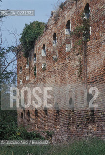 Caption: Nome:..ISOLA DI MADONNA DEL MONTE: RESTI DI UN EDIFICIO....Localizzazione:..VENEZIA / ISOLA DI MADONNA DEL MONTE / LAGUNA NORD..VENICE / THE ISLE OF MADONNA DEL MONTE  / THE NORTH LAGOON..Soggetto:..ISOLA DI MADONNA DEL MONTE / RESTI DI UN EDIFICIO ..THE ISLE OF MADONNA DEL MONTE  / REMAINS OF A BUILDING    ..Cronologia:......Autore:.. ....Stile:......Editori Stampatori:......Committenza:......Materia e Tecnica:......Collocazione:......Note:..NEL1303 FU COSTRUITO UN CONVENTO / LISOLA VENNE TRASFORMATA IN POLVERIERA ALLINIZIO DEL XX° SECOLO..IN 1303 A CONVENT WAS BUILT  / THE ISLAND WAS CONVERTED INTO A POWDER MAGAZINE AT THE BEGINNING OF THE XXth CENTURY..Riproduzione Fotografica:..Graziano Arici/Rosebud2 ...Copyright:..Graziano Arici / rosebud2/....Data:..1993....Costo:..A....Key:..ISOLE ABBANDONATE..UNINHABITED ISLANDS