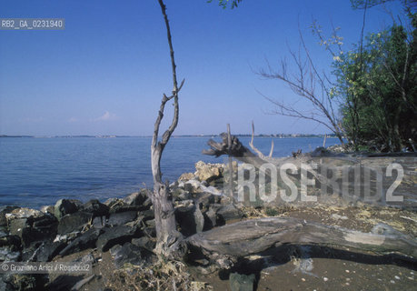 Caption: Nome:..ISOLA DI POVEGLIA....Localizzazione:..VENEZIA / ISOLA DI POVEGLIA / LAGUNA SUD..VENICE / THE ISLE OF POVEGLIA  / THE SOUTH LAGOON..Soggetto:..ISOLA DI POVEGLIA..THE ISLE OF POVEGLIA..Cronologia:......Autore:......Stile:......Editori Stampatori:.... ..Committenza:......Materia e Tecnica:......Collocazione:......Note:..DAL IX AL XIV SECOLO FU ABITATA DAGLI SCHIAVI E SERVITORI DEL DOGE / NEL XVIII SECOLO VENNE COSTRUITO UN LAZZARETTO, POI TRASFORMATO IN CONVALESCENZIARIO..FROM IXth TO XIVth CENTURY WAS  INHABITED BY THE SLAVES AND SERVANTS OF THE DOGE / IN XVIIth CENTURY  A LAZZARETTO WAS BUILT AND THIS WAS LATER CONVERTED INTO A CONVALESCENT HOME..Riproduzione Fotografica:..Graziano Arici/Rosebud2 ...Copyright:..Graziano Arici / rosebud2/....Data:..1993....Costo:..A....Key:..ISOLE ABBANDONATE..UNINHABITED ISLANDS