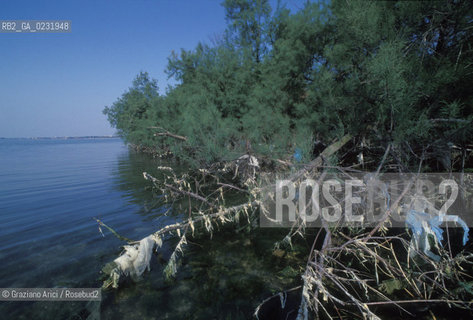 Caption: Nome:..ISOLA DI POVEGLIA....Localizzazione:..VENEZIA / ISOLA DI POVEGLIA / LAGUNA SUD..VENICE / THE ISLE OF POVEGLIA  / THE SOUTH LAGOON..Soggetto:..ISOLA DI POVEGLIA..THE ISLE OF POVEGLIA..Cronologia:......Autore:......Stile:......Editori Stampatori:.... ..Committenza:......Materia e Tecnica:......Collocazione:......Note:..DAL IX AL XIV SECOLO FU ABITATA DAGLI SCHIAVI E SERVITORI DEL DOGE / NEL XVIII SECOLO VENNE COSTRUITO UN LAZZARETTO, POI TRASFORMATO IN CONVALESCENZIARIO..FROM IXth TO XIVth CENTURY WAS  INHABITED BY THE SLAVES AND SERVANTS OF THE DOGE / IN XVIIth CENTURY  A LAZZARETTO WAS BUILT AND THIS WAS LATER CONVERTED INTO A CONVALESCENT HOME..Riproduzione Fotografica:..Graziano Arici/Rosebud2 ...Copyright:..Graziano Arici / rosebud2/....Data:..1993....Costo:..A....Key:..ISOLE ABBANDONATE..UNINHABITED ISLANDS