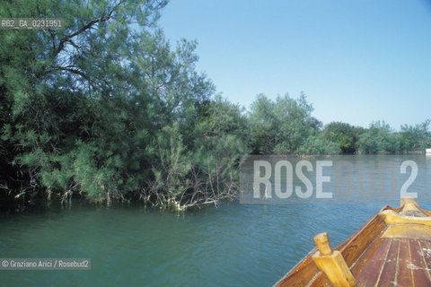 Caption: Nome:..ISOLA DI POVEGLIA....Localizzazione:..VENEZIA / ISOLA DI POVEGLIA / LAGUNA SUD..VENICE / THE ISLE OF POVEGLIA  / THE SOUTH LAGOON..Soggetto:..ISOLA DI POVEGLIA..THE ISLE OF POVEGLIA..Cronologia:......Autore:......Stile:......Editori Stampatori:.... ..Committenza:......Materia e Tecnica:......Collocazione:......Note:..DAL IX AL XIV SECOLO FU ABITATA DAGLI SCHIAVI E SERVITORI DEL DOGE / NEL XVIII SECOLO VENNE COSTRUITO UN LAZZARETTO, POI TRASFORMATO IN CONVALESCENZIARIO..FROM IXth TO XIVth CENTURY WAS  INHABITED BY THE SLAVES AND SERVANTS OF THE DOGE / IN XVIIth CENTURY  A LAZZARETTO WAS BUILT AND THIS WAS LATER CONVERTED INTO A CONVALESCENT HOME..Riproduzione Fotografica:..Graziano Arici/Rosebud2 ...Copyright:..Graziano Arici / rosebud2/....Data:..1993....Costo:..A....Key:..ISOLE ABBANDONATE..UNINHABITED ISLANDS