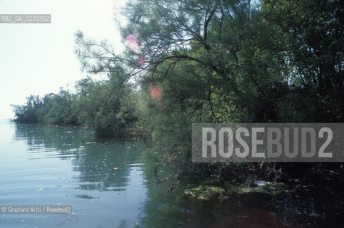 Caption: Nome:..ISOLA DI POVEGLIA....Localizzazione:..VENEZIA / ISOLA DI POVEGLIA / LAGUNA SUD..VENICE / THE ISLE OF POVEGLIA  / THE SOUTH LAGOON..Soggetto:..ISOLA DI POVEGLIA..THE ISLE OF POVEGLIA..Cronologia:......Autore:......Stile:......Editori Stampatori:.... ..Committenza:......Materia e Tecnica:......Collocazione:......Note:..DAL IX AL XIV SECOLO FU ABITATA DAGLI SCHIAVI E SERVITORI DEL DOGE / NEL XVIII SECOLO VENNE COSTRUITO UN LAZZARETTO, POI TRASFORMATO IN CONVALESCENZIARIO..FROM IXth TO XIVth CENTURY WAS  INHABITED BY THE SLAVES AND SERVANTS OF THE DOGE / IN XVIIth CENTURY  A LAZZARETTO WAS BUILT AND THIS WAS LATER CONVERTED INTO A CONVALESCENT HOME..Riproduzione Fotografica:..Graziano Arici/Rosebud2 ...Copyright:..Graziano Arici / rosebud2/....Data:..1993....Costo:..A....Key:..ISOLE ABBANDONATE..UNINHABITED ISLANDS