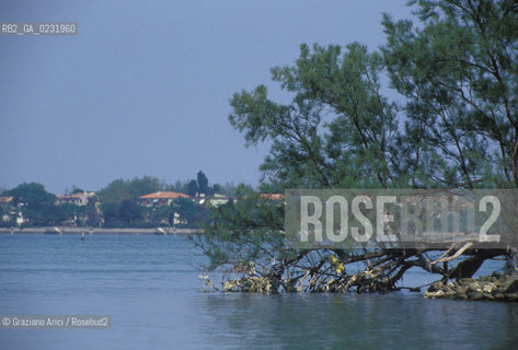 Caption: Nome:..IL LIDO DA POVEGLIA....Localizzazione:..VENEZIA / ISOLA DI POVEGLIA / LAGUNA SUD..VENICE / THE ISLE OF POVEGLIA  / THE SOUTH LAGOON..Soggetto:..VEDUTA DEL LIDO DALL ISOLA DI POVEGLIA..THE LIDO FROM THE ISLE OF POVEGLIA..Cronologia:......Autore:......Stile:......Editori Stampatori:.... ..Committenza:......Materia e Tecnica:......Collocazione:......Note:..DAL IX AL XIV SECOLO FU ABITATA DAGLI SCHIAVI E SERVITORI DEL DOGE / NEL XVIII SECOLO VENNE COSTRUITO UN LAZZARETTO, POI TRASFORMATO IN CONVALESCENZIARIO..FROM IXth TO XIVth CENTURY WAS  INHABITED BY THE SLAVES AND SERVANTS OF THE DOGE / IN XVIIth CENTURY  A LAZZARETTO WAS BUILT AND THIS WAS LATER CONVERTED INTO A CONVALESCENT HOME..Riproduzione Fotografica:..Graziano Arici/Rosebud2 ...Copyright:..Graziano Arici / rosebud2/....Data:..1993....Costo:..A....Key:..ISOLE ABBANDONATE..UNINHABITED ISLANDS