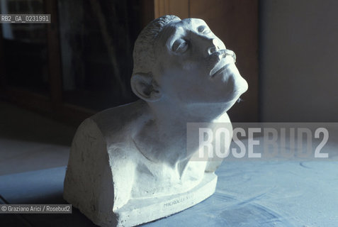 Caption: Nome:..ISOLA DI SAN SERVOLO: BUSTO DI UN MICROCEFALO....Localizzazione:..VENEZIA / ISOLA DI SAN SERVOLO  / LAGUNA SUD..VENICE / THE ISLE OF SAN SERVOLO / THE SOUTH  LAGOON..Soggetto:..ISOLA DI SAN SERVOLO / VECCHIA BIBLIOTECA / BUSTO DI UN MICROCEFALO..THE ISLE OF SAN SERVOLO / THE OLD LIBRARY / THE BUST OF A MICROCEPHAL..Cronologia:......Autore:......Stile:......Editori Stampatori:......Committenza:......Materia e Tecnica:......Collocazione:......Note:..DAL 1734 DIVENNE RICOVERO PER MALATTIE MENTALI FINO AL 1979 / DAL1982 OSPITA LA SCUOLA EUROPEA DI ONCOLOGIA E IL CENTRO EUROPEO PER RESTAURATORI / DAL 1996 E SEDE DELLA VENICE INTERNATIONAL UNIVERSITY / RIUSO..FROM 1734 TO 1979 IT WAS USED AS A MENTAL HOSPITAL / IN 1982  IT BECAME THE SEAT OF EUROPEAN SCHOOL OF ONCOLOGY  AND  OF THE EUROPEAN  CENTRE FOR RESTORERS / IN 1996 IT BECAME THE SEAT OF THE VENICE INTERNATIONAL UNIVERSITY /  RE-USE ..Riproduzione Fotografica:..Graziano Arici/Rosebud2 ...Copyright:..Graziano Arici / rosebud2/....Data:..1993....Costo:..A....Key:..ISOLE ABBANDONATE..UNINHABITED ISLANDS