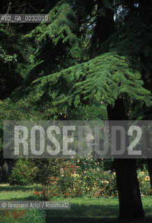 Caption: Nome:..ISOLA DI SAN SERVOLO....Localizzazione:..VENEZIA / ISOLA DI SAN SERVOLO / LAGUNA SUD..VENICE / THE ISLE OF SAN SERVOLO / THE SOUTH  LAGOON..Soggetto:..ISOLA DI SAN SERVOLO GIARDINO..THE ISLE OF SAN SERVOLO..Cronologia:......Autore:......Stile:......Editori Stampatori:......Committenza:......Materia e Tecnica:......Collocazione:......Note:..DAL 1734 DIVENNE RICOVERO PER MALATTIE MENTALI FINO AL 1979 / DAL1982 OSPITA LA SCUOLA EUROPEA DI ONCOLOGIA E IL CENTRO EUROPEO PER RESTAURATORI / DAL 1996 E SEDE DELLA VENICE INTERNATIONAL UNIVERSITY / RIUSO..FROM 1734 TO 1979 IT WAS USED AS A MENTAL HOSPITAL / IN 1982  IT BECAME THE SEAT OF EUROPEAN SCHOOL OF ONCOLOGY  AND  OF THE EUROPEAN  CENTRE FOR RESTORERS / IN 1996 IT BECAME THE SEAT OF THE VENICE INTERNATIONAL UNIVERSITY /  RE-USE ..Riproduzione Fotografica:..Graziano Arici/Rosebud2 ...Copyright:..Graziano Arici / rosebud2/....Data:..1993....Costo:..A....Key:..ISOLE ABBANDONATE..UNINHABITED ISLANDS