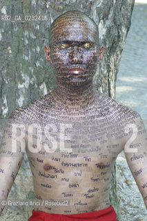 50° ESPOSIZIONE INTERNAZIONALE DARTE LA BIENNALE DI VENEZIA - GIARDINI - LE INSTALLAZIONI DI  VIVERE VENEZIA  © 2003 Graziano Arici/Rosebud2 / CONSORZIO VENEZIA NUOVA / IUAV