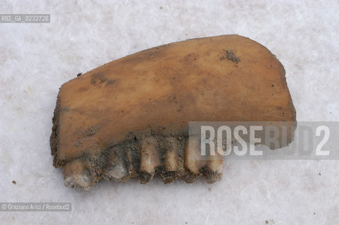 VENEZIA 18/02/04 LAVORI DEL CONSORZIO VENEZIA NUOVA SUL MOLO DI PIAZZA SAN MARCO : RITROVAMENTI DI OGGETTI NEL CORSO DELLO SCAVO  ©Graziano Arici/Rosebud2 ARCHEO