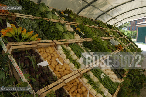 VENEZIA 2/06/04 ISOLA DI S.ERASMO ORTAGGI LOCALI ©Graziano Arici/Rosebud2 GASTRONOMIA