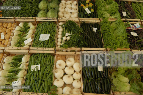 VENEZIA 2/06/04 ISOLA DI S.ERASMO ORTAGGI LOCALI ©Graziano Arici/Rosebud2 GASTRONOMIA