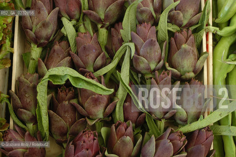 VENEZIA 2/06/04 ISOLA DI S.ERASMO ORTAGGI LOCALI CARCIOFI ©Graziano Arici/Rosebud2 GASTRONOMIA