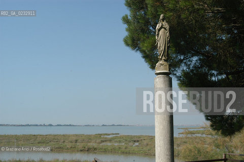 VENEZIA 28/06/04 :  STATO DI FATTO DELLISOLA DI S.FRANCESCO DEL DESERTO PRIMA DELLINTERVENTO DEL CONSORZIO VENEZIA NUOVA ©Graziano Arici/Rosebud2 LAGUNA