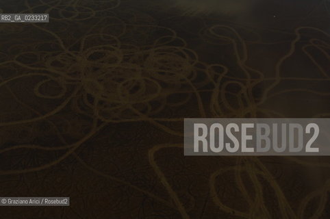 VENEZIA 11 GENNAIO 2006 - FOTO AEREA DELLA LAGUNA E BARENE ©Graziano Arici/Rosebud2 AEREA