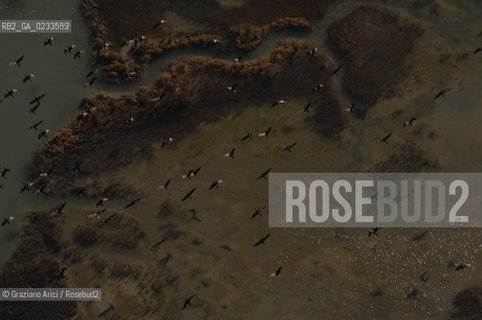 VENEZIA 10/10/06 FOTO AEREE AI LAVORI IN CORSO  PER LA RICOSTRUZIONE BARENE UCCELLI  ©Graziano Arici/Rosebud2 CONSORZIO VENEZIA NUOVA LAGUNA