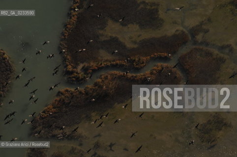 VENEZIA 10/10/06 FOTO AEREE AI LAVORI IN CORSO  PER LA RICOSTRUZIONE BARENE UCCELLI  ©Graziano Arici/Rosebud2 CONSORZIO VENEZIA NUOVA LAGUNA