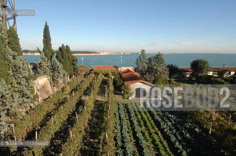 VENEZIA 3 NOVEMBRE 2006 - COMPLESSO CONVENTUALE DEI FRATI FRANCESCANI DI S.FRANCESCO DELLA VIGNA - ORTO E VIGNA  ©Graziano Arici/Rosebud2 MURANO BURANO