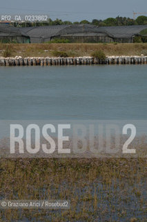 VENEZIA 1/08/2007 - LITORALE DEL CAVALLINO TREPORTI CANALE PORDELIO ©Graziano Arici/Rosebud2