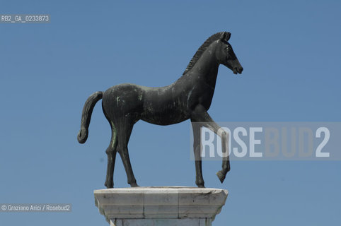 VENEZIA 1/08/2007 - LITORALE DEL CAVALLINO  ©Graziano Arici/Rosebud2