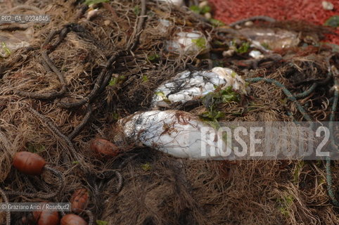 VENICE 31/3/2008 - FISHING-BOAT IN VENICE CANALS @ Graziano Arici/Rosebud2 PESCA LAGUNA.