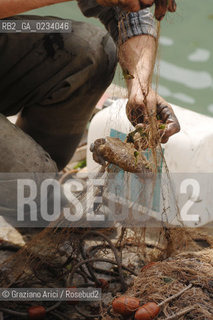 VENICE 31/3/2008 - FISHING-BOAT IN VENICE CANALS @ Graziano Arici/Rosebud2 PESCA LAGUNA.