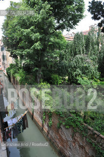 VENEZIA GIUGNO 2009 - THE GARDEN OF PALAZZO ALBRIZZI ©Graziano Arici/Rosebud2 GIARDINO CANALE