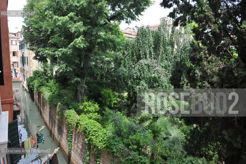 VENEZIA GIUGNO 2009 - THE GARDEN OF PALAZZO ALBRIZZI ©Graziano Arici/Rosebud2 GIARDINO CANALE
