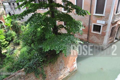 VENEZIA GIUGNO 2009 - THE GARDEN OF PALAZZO ALBRIZZI ©Graziano Arici/Rosebud2 GIARDINO CANALE