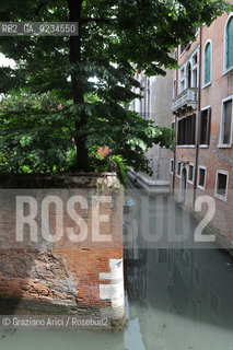 VENEZIA GIUGNO 2009 - THE GARDEN OF PALAZZO ALBRIZZI ©Graziano Arici/Rosebud2 GIARDINO CANALE