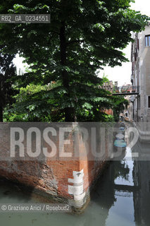 VENEZIA GIUGNO 2009 - THE GARDEN OF PALAZZO ALBRIZZI ©Graziano Arici/Rosebud2 GIARDINO CANALE