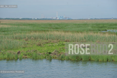 Venice april 2010 -  Barena in Venice lagoon cassa di colmata portomarghera Marghera  ©Graziano Arici/Rosebud2