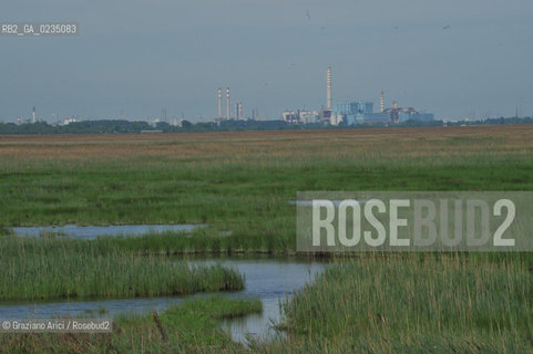 Venice april 2010 -  Barena in Venice lagoon cassa di colmata portomarghera Marghera  ©Graziano Arici/Rosebud2