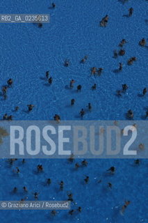 Venice (Cavallino Beach) 28/7/10 : Acqualand, the Pools Park, at Cavallino Beach ©Graziano Arici/Rosebud2