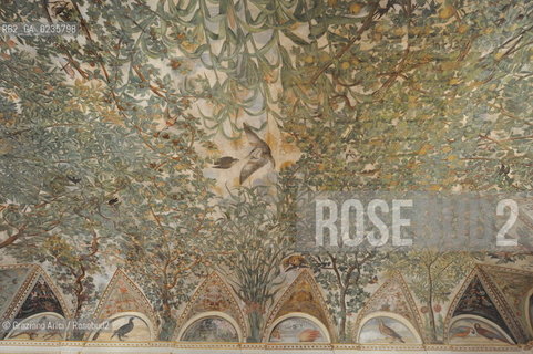 Venice 27 agosto 2010 : The Grimani Palace Museum museo ©Graziano Arici/Rosebud2