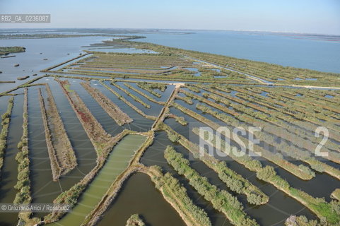 VENEZIA 11/10/10- FOTO AEREE DELLE BARENE DELLA LAGUNA SUD VALLE DA PESCA VALLE ZAPPA ©Graziano Arici/Rosebud2 CONSORZIO VENEZIA NUOVA LAGUNA BARENA VALLE DA PESCA