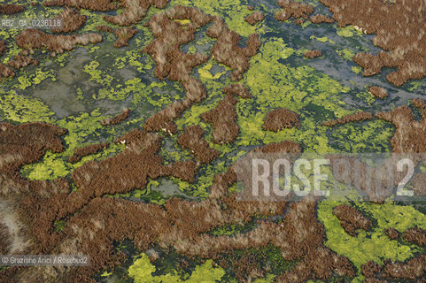 VENEZIA 11/10/10- FOTO AEREE DELLE BARENE DELLA LAGUNA SUD ©Graziano Arici/Rosebud2 CONSORZIO VENEZIA NUOVA LAGUNA BARENA
