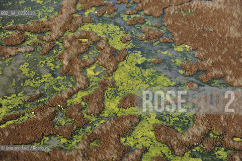 VENEZIA 11/10/10- FOTO AEREE DELLE BARENE DELLA LAGUNA SUD ©Graziano Arici/Rosebud2 CONSORZIO VENEZIA NUOVA LAGUNA BARENA