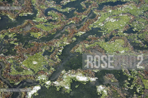 VENEZIA 11/10/10- FOTO AEREE DELLE BARENE DELLA LAGUNA SUD ©Graziano Arici/Rosebud2 CONSORZIO VENEZIA NUOVA LAGUNA BARENA