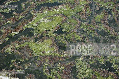 VENEZIA 11/10/10- FOTO AEREE DELLE BARENE DELLA LAGUNA SUD ©Graziano Arici/Rosebud2 CONSORZIO VENEZIA NUOVA LAGUNA BARENA