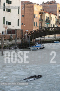 Venice 6/2/12 - Frozen canals and lagoon laguna e canali ghiacciati per il freddo canale degli ormesini e di s.giobbe ©Graziano Arici/Rosebud2